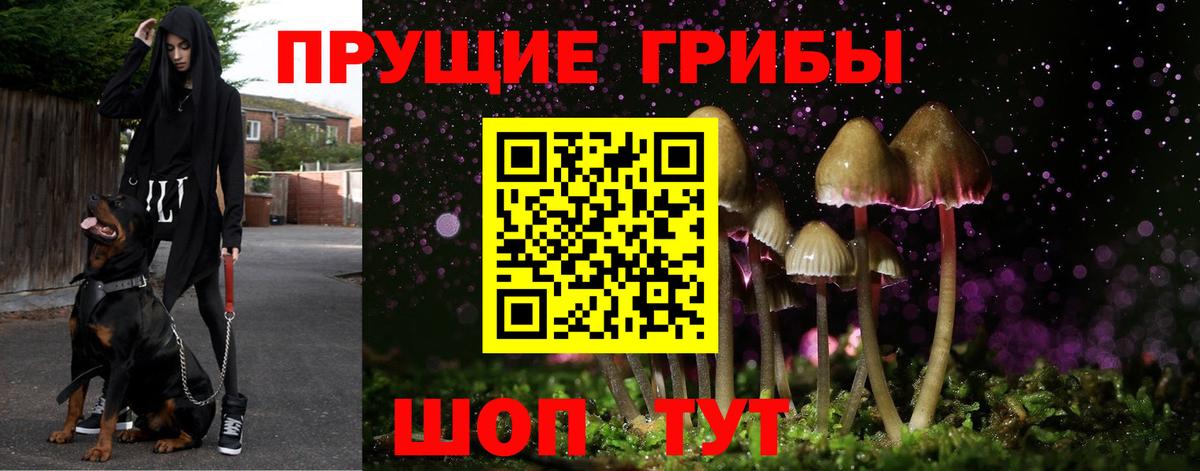 Галлюциногенные грибы мухоморы  Вход с VPN  Норильск 