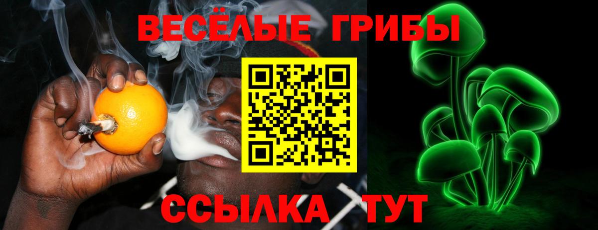 Псилоцибиновые грибы Psilocybine cubensis Норильск